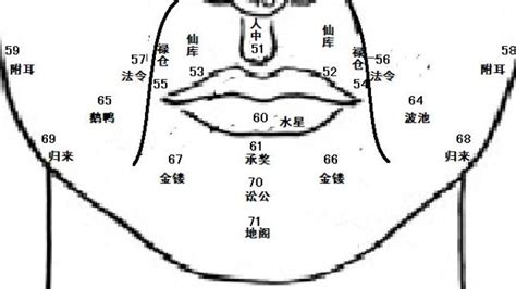 面相 鼻|麦玲玲面相讲座之 鼻子 – 人相学